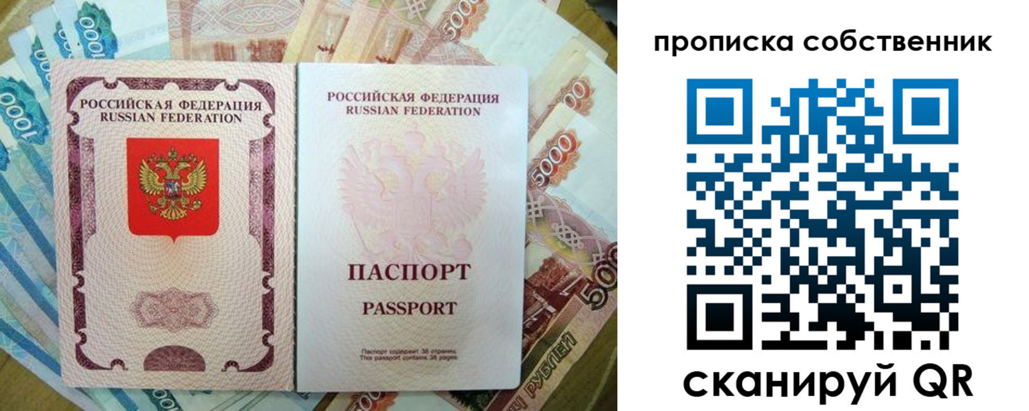 прописка в Луге